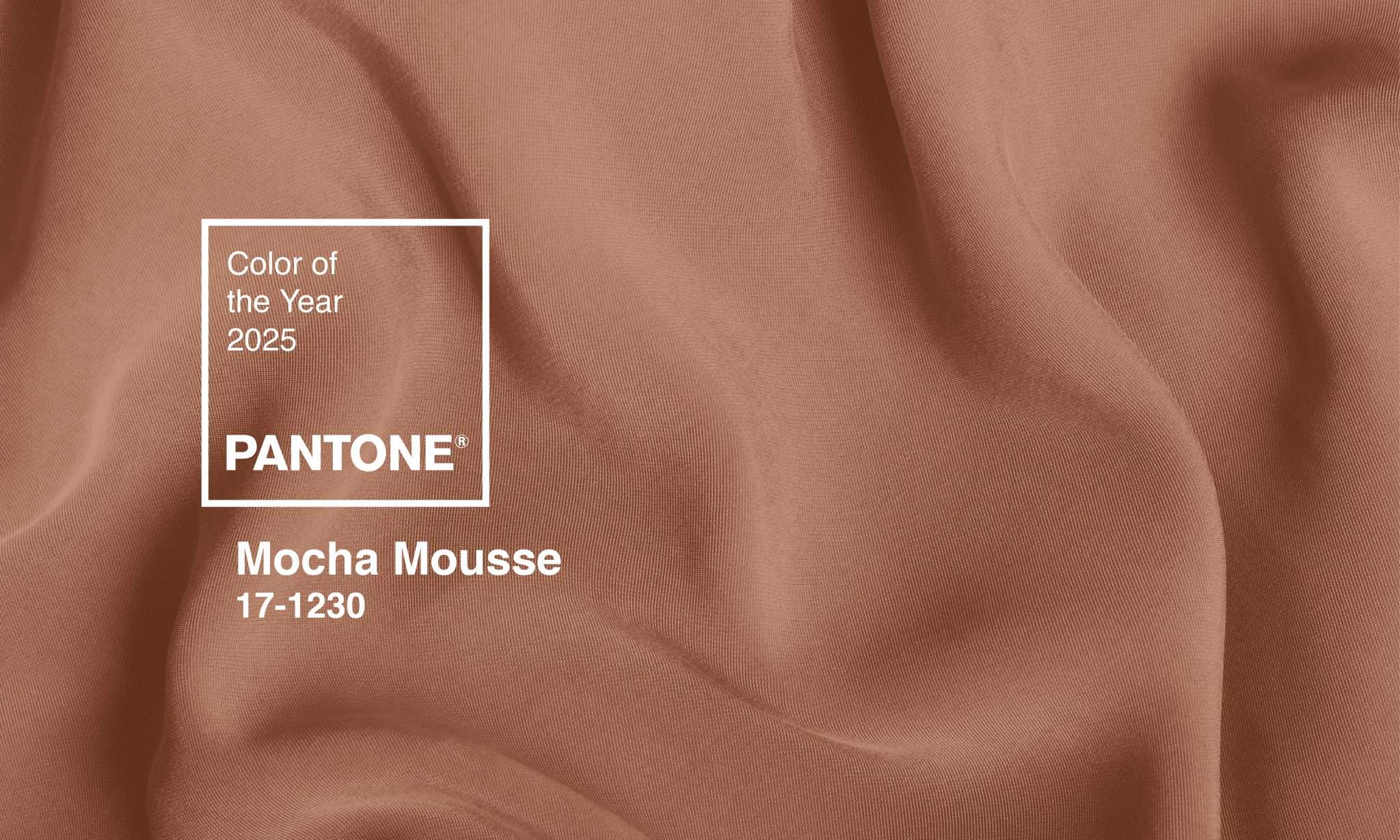 MOCHA MOUSSE - PANTONE AL ANULUI 2025
